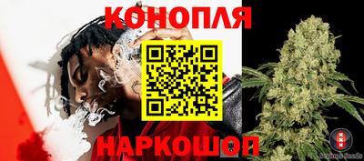 гашик Балахна